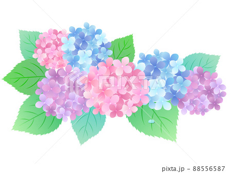 梅雨の紫陽花 背景フレームイラスト ☆ バリエーション多数 88556587
