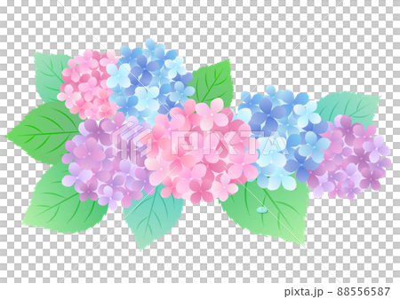 梅雨の紫陽花 背景フレームイラスト ☆ バリエーション多数 88556587