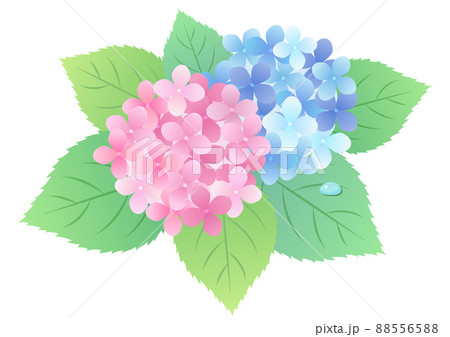 梅雨の紫陽花 背景フレームイラスト ☆ バリエーション多数 88556588