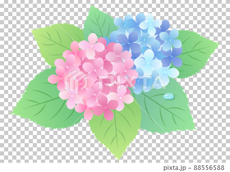 梅雨の紫陽花 背景フレームイラスト ☆ バリエーション多数 88556588