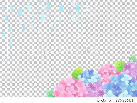 雨季的繡球花背景框架插圖☆許多變化 88556591