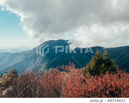 景色 風景 山盛り 88556622