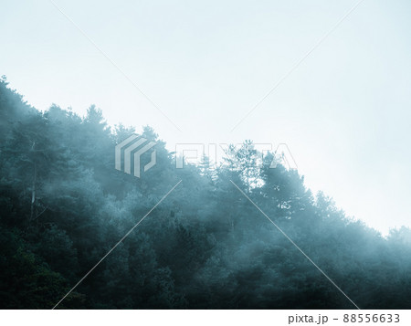景色 風景 林 88556633