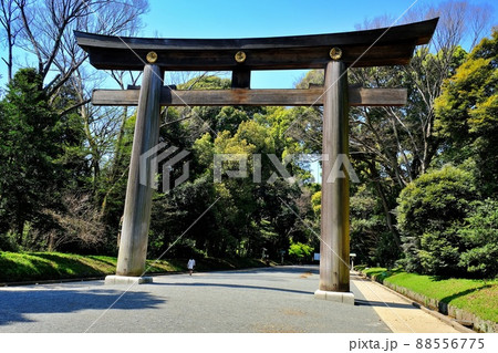 明治神宮　大鳥居 88556775