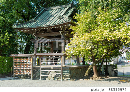 【日本】神奈川、鈴鹿神社の鐘撞堂と絵馬掛けと黄色く紅葉した木 88556975