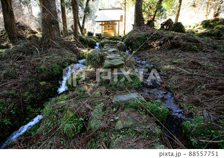 湧水源今木神社から流れるきれいな水　滝の頭水源　秋田県 88557751