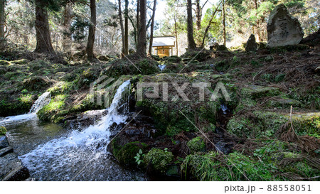 湧水源今木神社から流れ来るきれいな水　滝の頭水源　秋田県 88558051