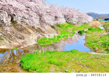 金井橋／天引川より下流方向を望む(群馬県甘楽町)【2022.4】 88558114