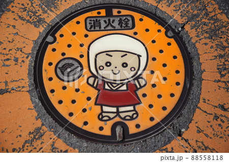 岩出市のマンホール 88558118
