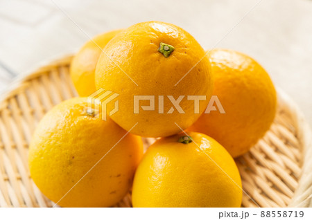 小粒の晩白柚 小粒の晩白柚 88558719