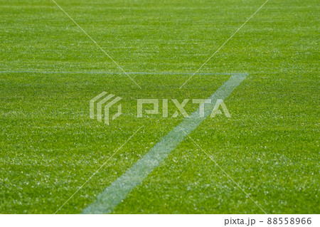 きれいに整備された青々とした天然芝のサッカーピッチ きれいに整備された青々とした天然芝のサッカーピッチ 88558966