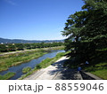 鴨川 88559046