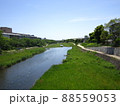 高野川 88559053