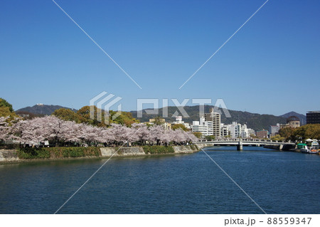 平和公園 88559347