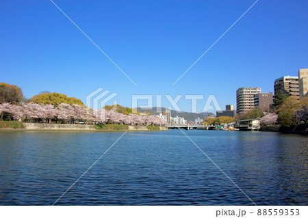 平和公園 平和公園 88559353