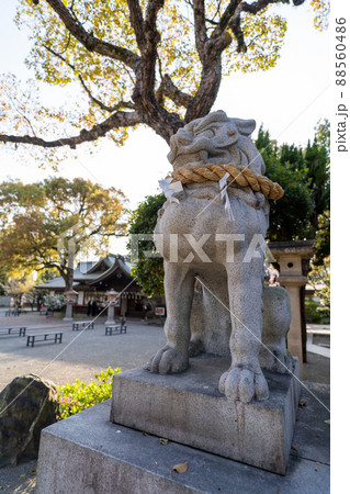 姫路護国神社 姫路護国神社 88560486