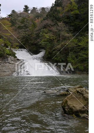 粟又の滝 粟又の滝 88561299
