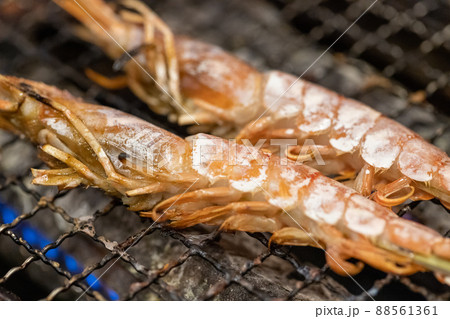 海老の塩焼き 88561361