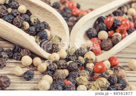 Colored pepper on wooden board. Spice using for cooking Colored pepper on wooden board. Spice using for cooking 88561877