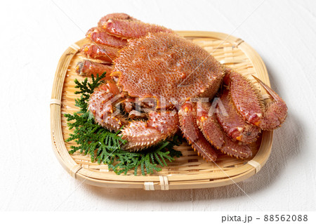 新鮮な毛ガニ 88562088