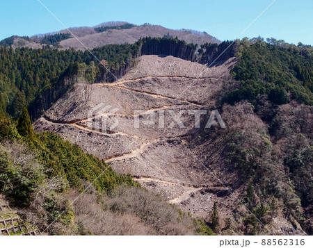 林業で伐採された山 林業で伐採された山 88562316