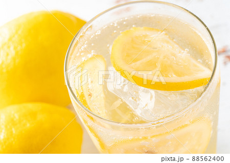 レモンサワー 88562400