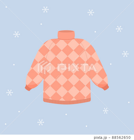 Winter sweater. Warm sweater. Winter clothing. Flat vector illistration 88562650