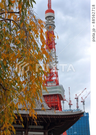 Tokyo Tower shown with flowering trees in front as seen from Shiba Park 88562718