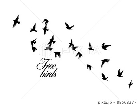 A flock of flying birds. Free birds. Vector illustration 88563277