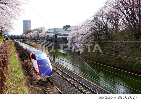 満開の桜　サクラ　さくら　霞城公園　山形新幹線　つばさ 88563627