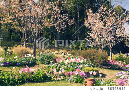 横浜・里山ガーデン 88563915