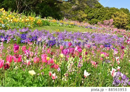 横浜・里山ガーデン 横浜・里山ガーデン 88563953