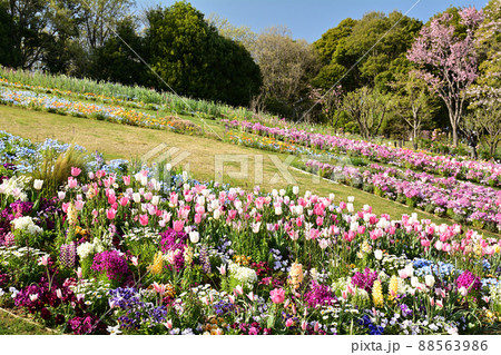 横浜・里山ガーデン 88563986