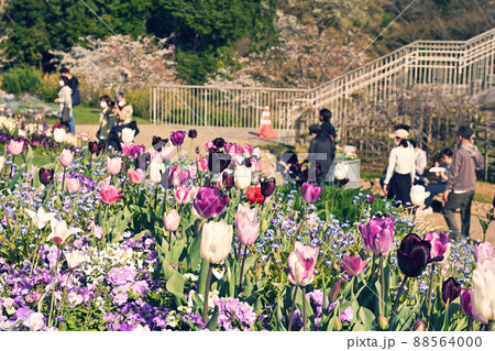 横浜・里山ガーデン 横浜・里山ガーデン 88564000