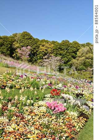 横浜・里山ガーデン 横浜・里山ガーデン 88564001