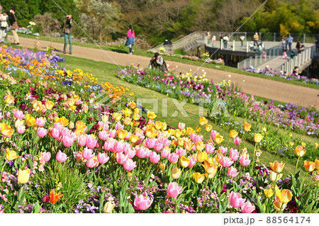 横浜・里山ガーデン 横浜・里山ガーデン 88564174