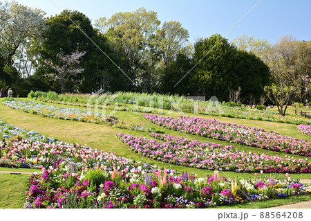横浜・里山ガーデン 88564208
