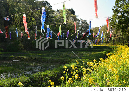 横浜・里山ガーデン 横浜・里山ガーデン 88564250