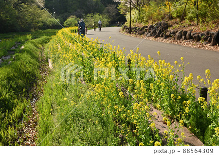 横浜・里山ガーデン 横浜・里山ガーデン 88564309