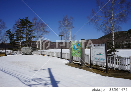 春の岩洞湖 春の岩洞湖 88564475