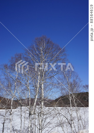 春の岩洞湖 春の岩洞湖 88564619