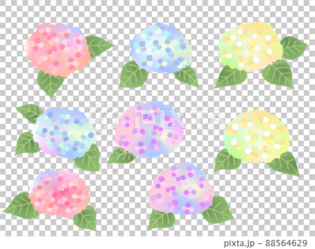 Hydrangea flower 88564629