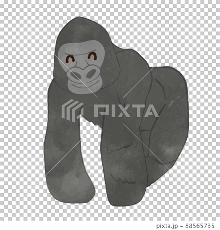 かわいい笑顔のゴリラのイラストのイラスト素材