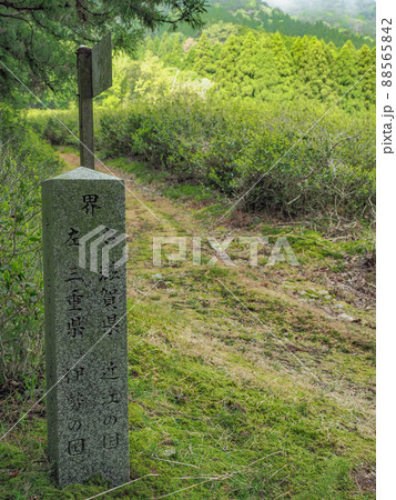滋賀県 鈴鹿峠 滋賀県 鈴鹿峠 88565842