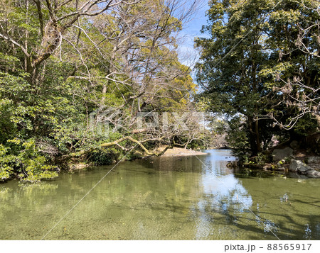 向春の栗林公園（2月中旬） 88565917