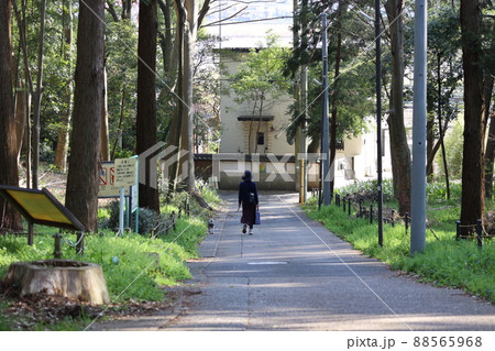 緑道を犬と散歩する女性 88565968