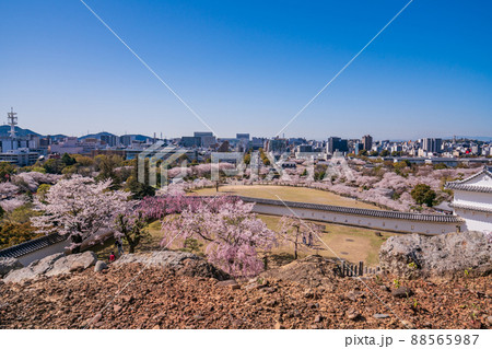 （兵庫県）世界遺産　姫路城　備前丸から南側の展望 88565987
