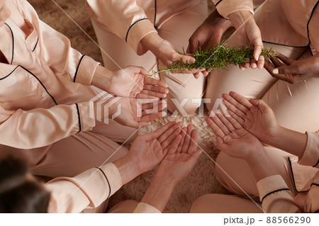 Rosemary For Magic Ritual 88566290
