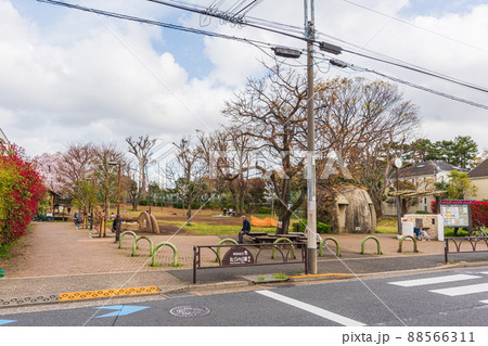 世田谷散歩、春の桜めぐり奥沢、等々力エリア 88566311