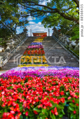 防府天満宮　山口県防府市 88566435